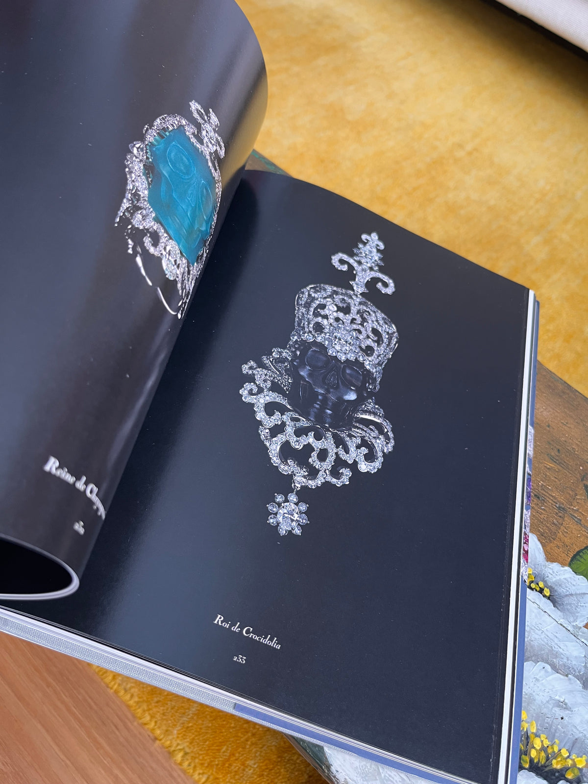 Libro fotográfico Dior Joaillerie Rizzoli New
York