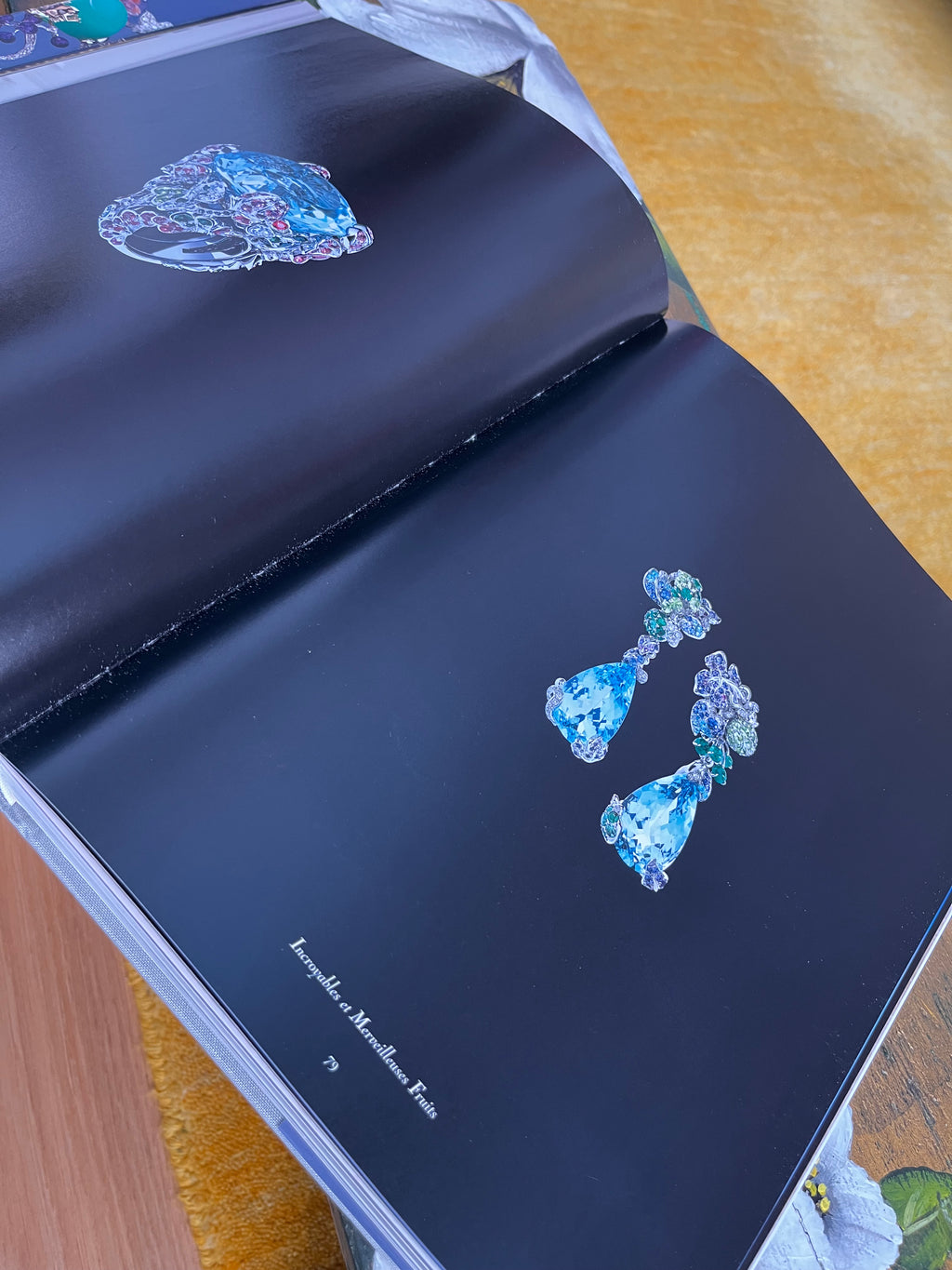 Libro fotográfico Dior Joaillerie Rizzoli New
York
