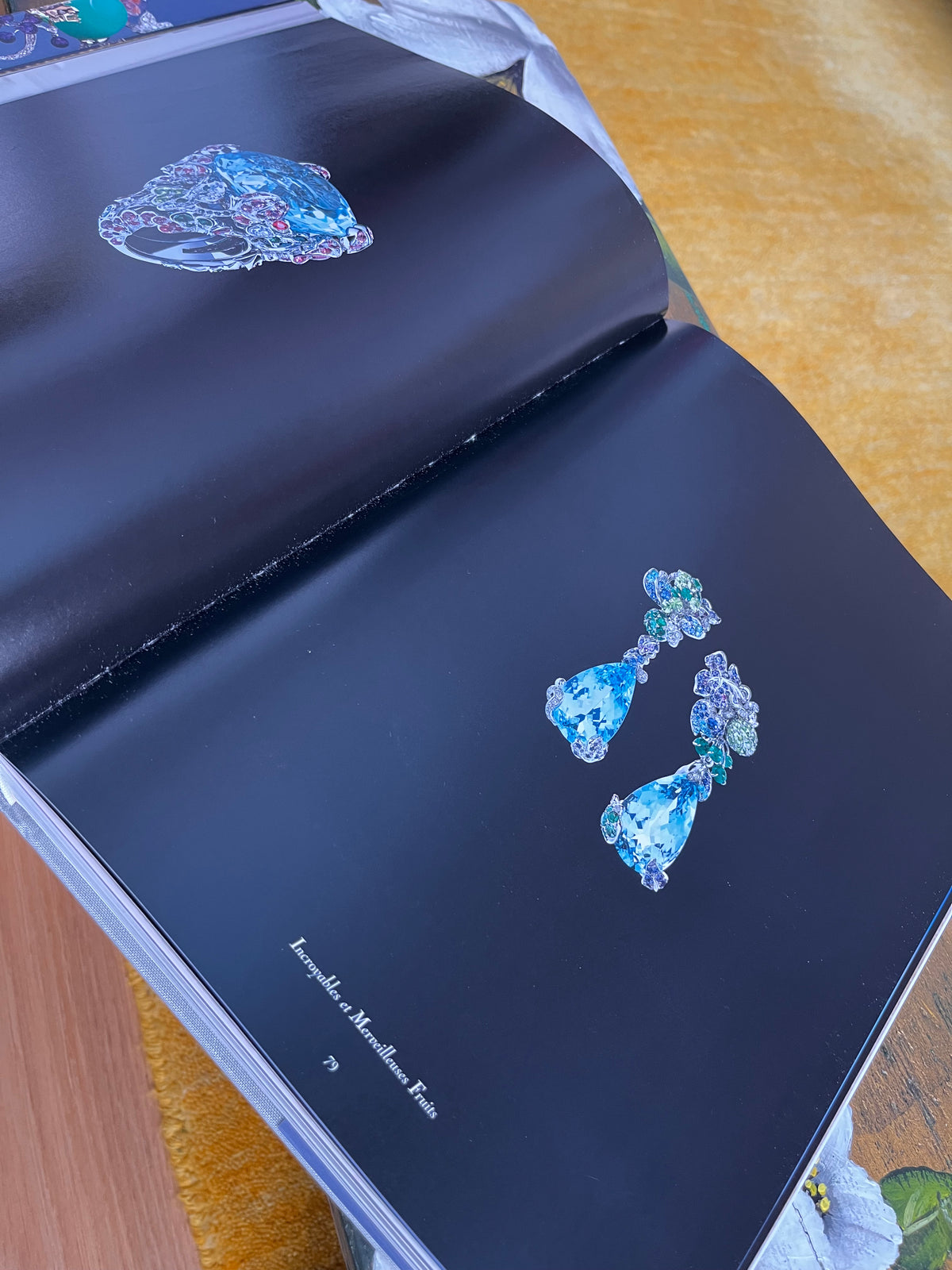 Libro fotográfico Dior Joaillerie Rizzoli New
York