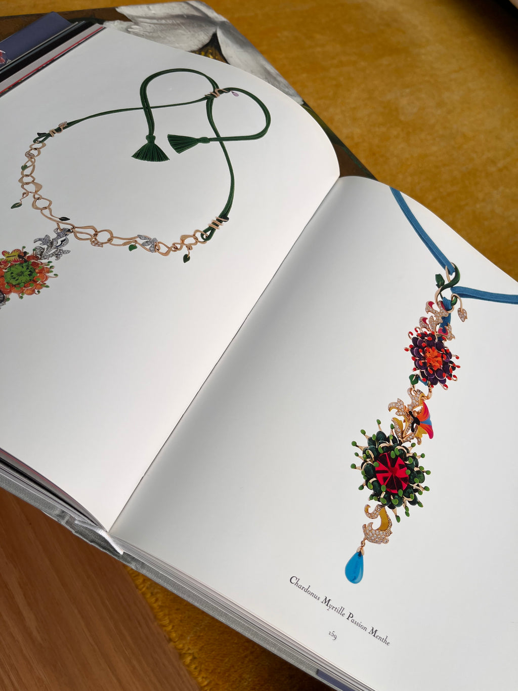 Libro fotográfico Dior Joaillerie Rizzoli New
York
