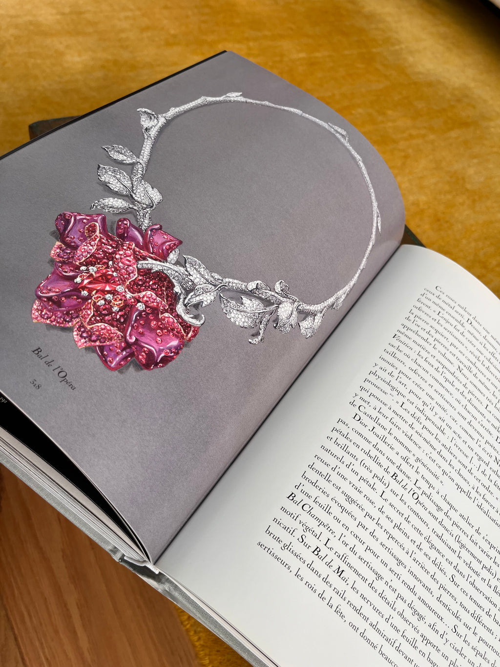 Libro fotográfico Dior Joaillerie Rizzoli New
York