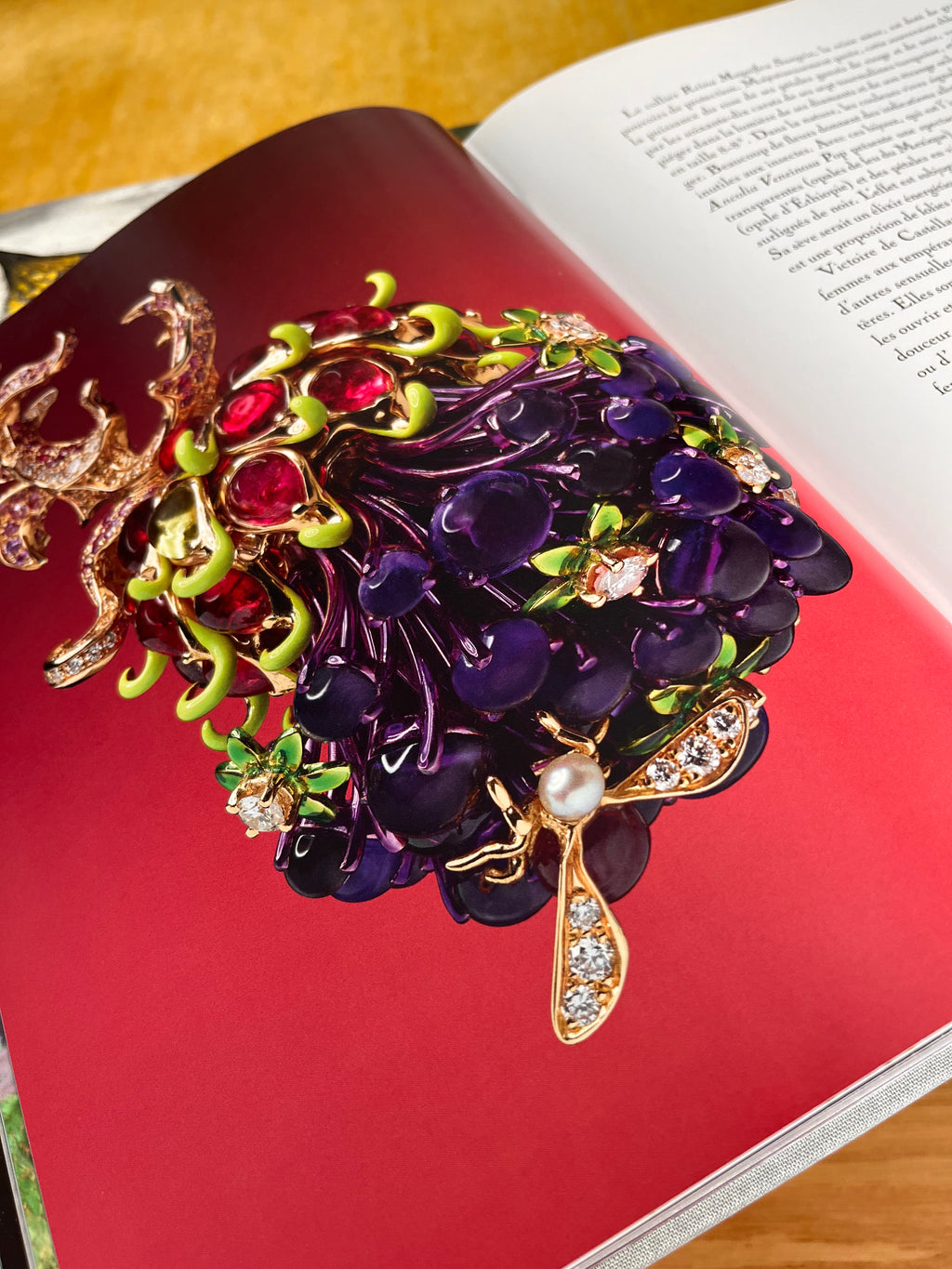 Libro fotográfico Dior Joaillerie Rizzoli New
York