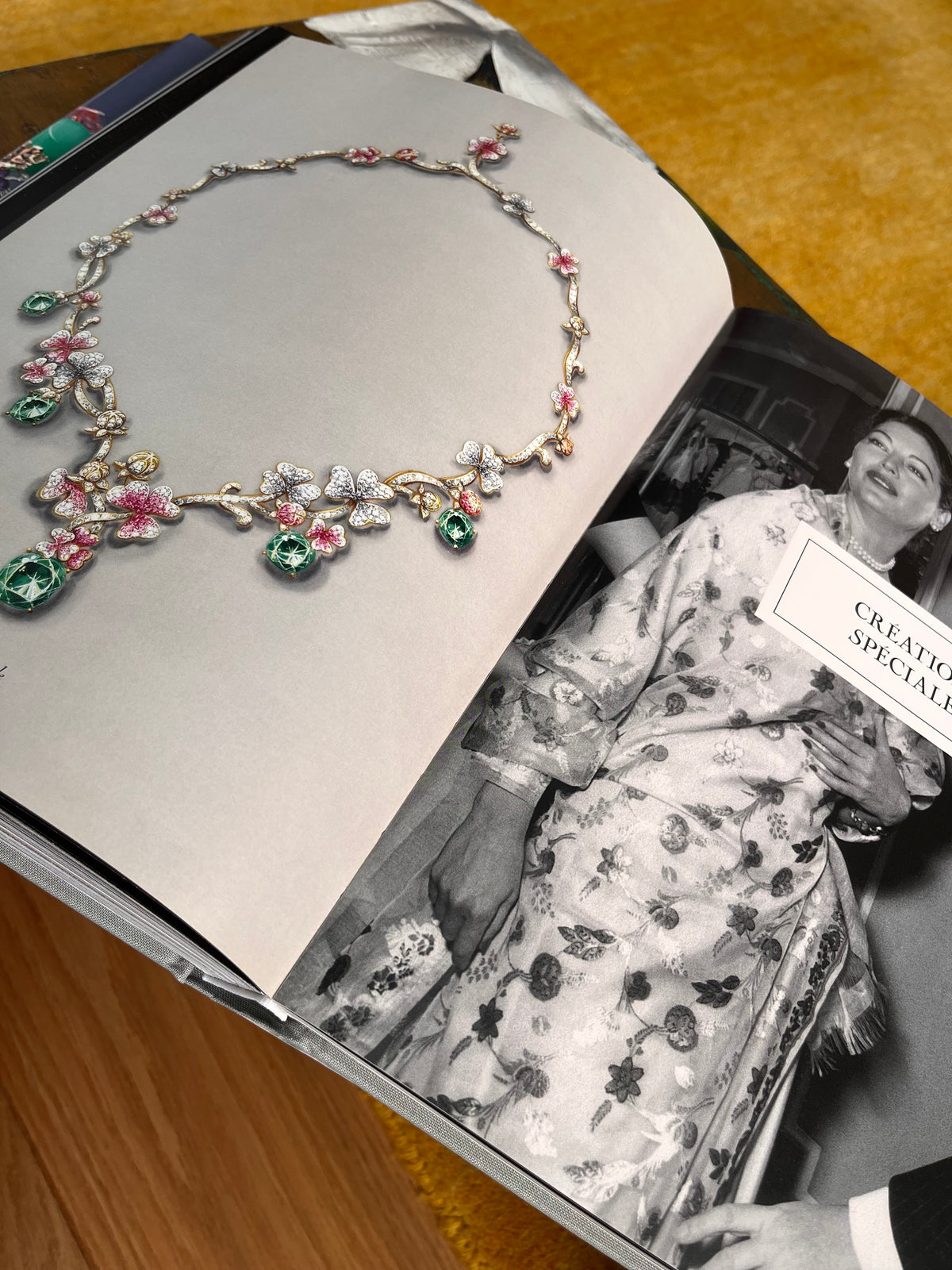 Libro fotográfico Dior Joaillerie Rizzoli New
York