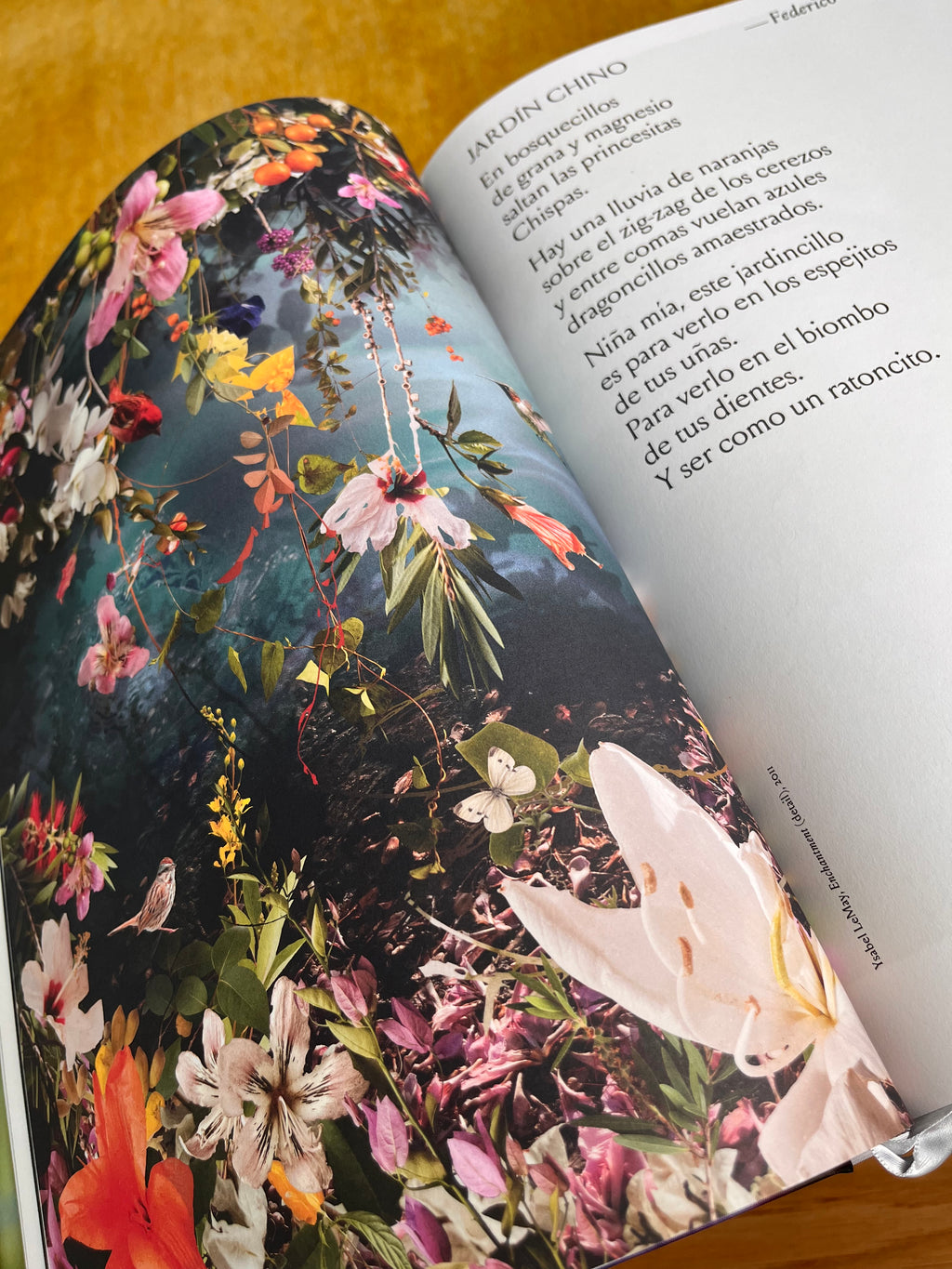 Libro Fotográfico Bulgari Eden gioielli