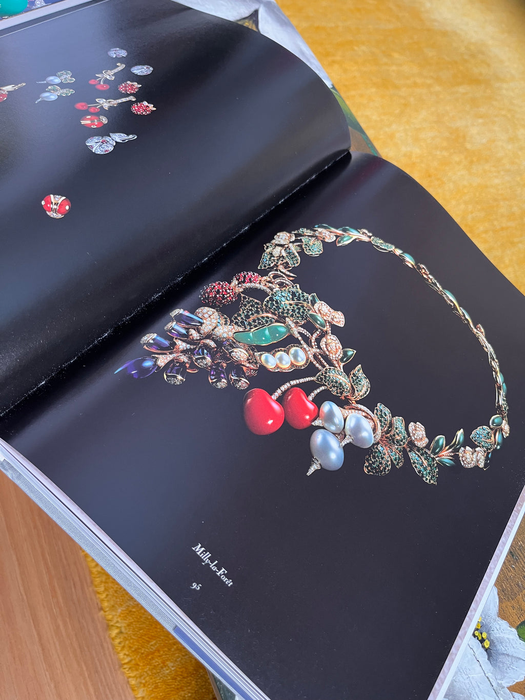 Libro fotográfico Dior Joaillerie Rizzoli New
York