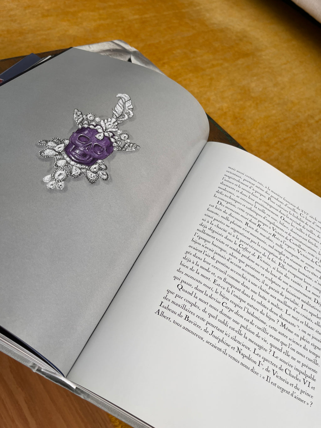 Libro fotográfico Dior Joaillerie Rizzoli New
York