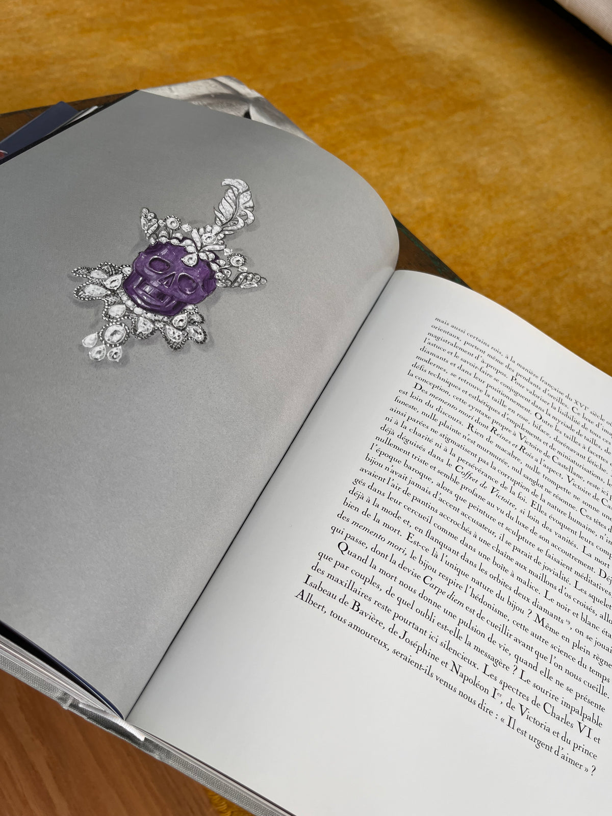 Libro fotográfico Dior Joaillerie Rizzoli New
York