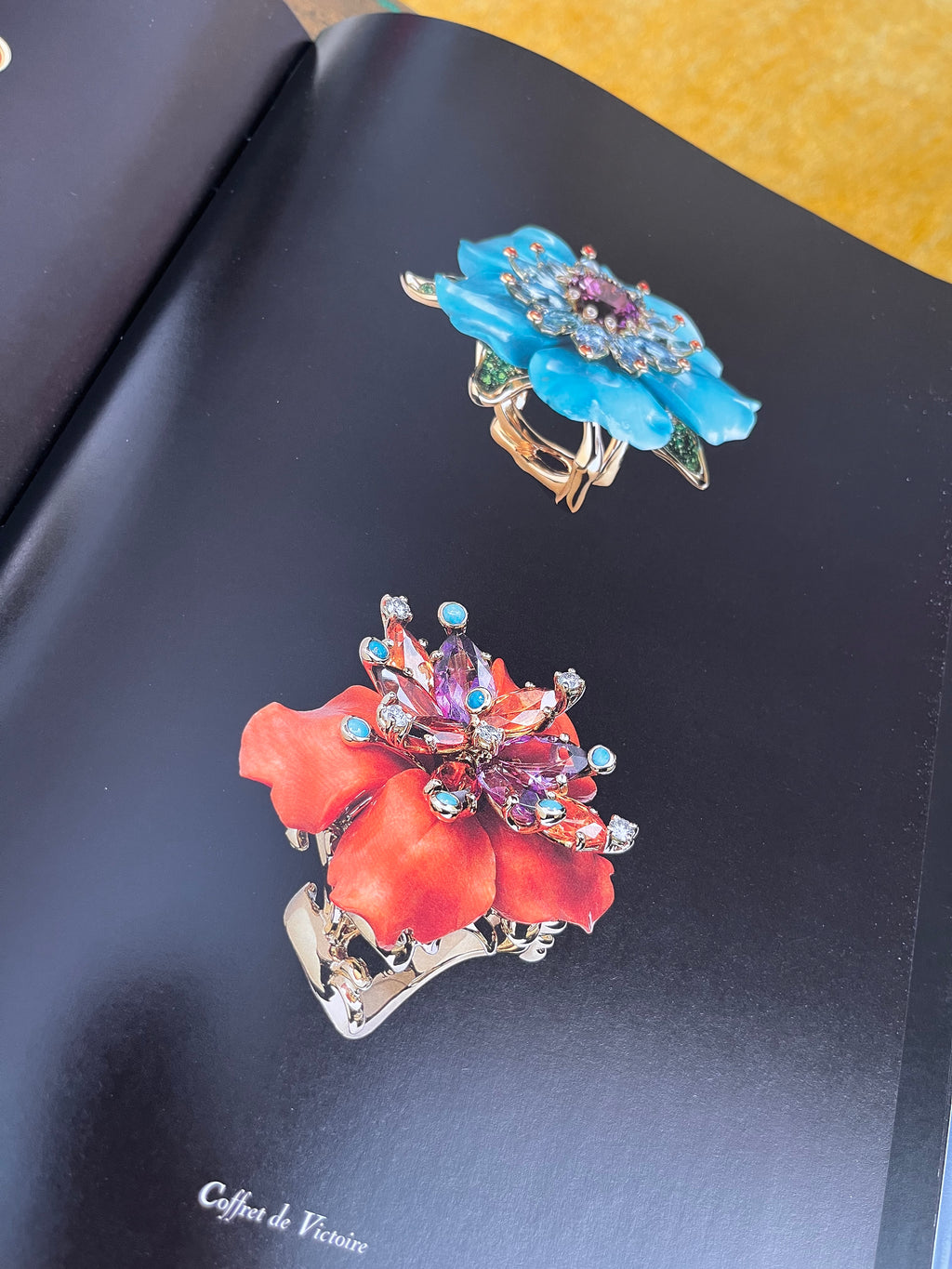 Libro fotográfico Dior Joaillerie Rizzoli New
York