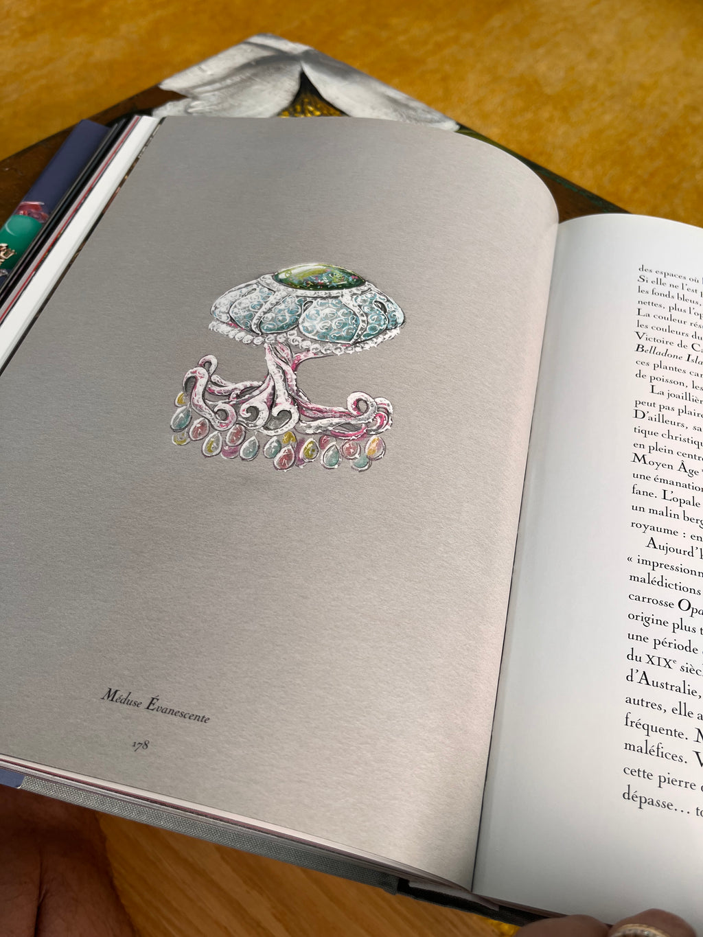 Libro fotográfico Dior Joaillerie Rizzoli New
York