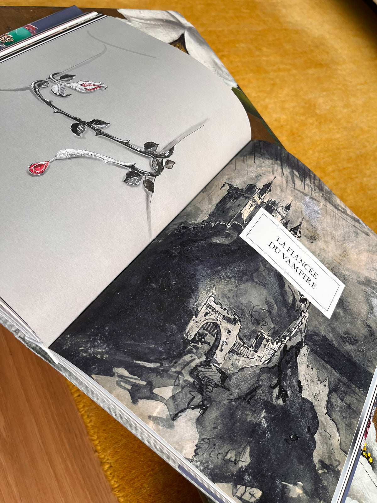 Libro fotográfico Dior Joaillerie Rizzoli New
York