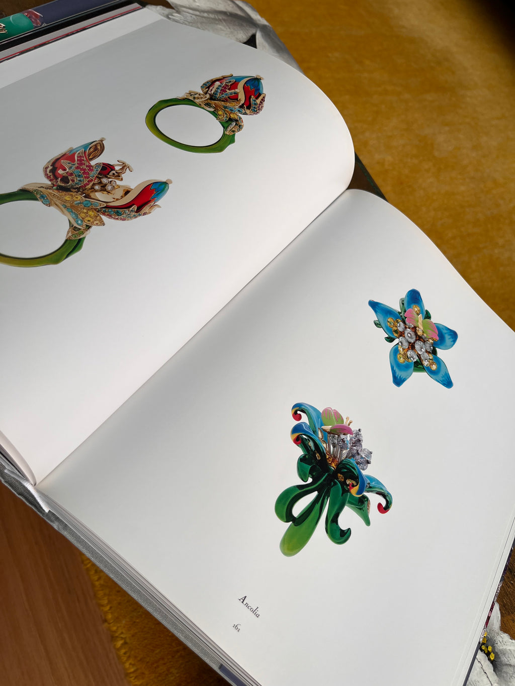 Libro fotográfico Dior Joaillerie Rizzoli New
York